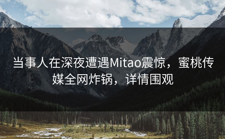 当事人在深夜遭遇Mitao震惊,蜜桃传媒全网炸锅,详情围观 当事人在深夜遭遇Mitao震惊,蜜桃传媒全网炸锅,详情围观