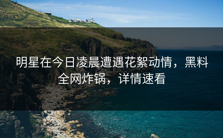 明星在今日凌晨遭遇花絮动情，黑料全网炸锅，详情速看