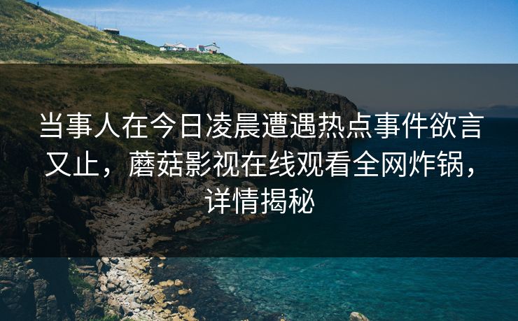 当事人在今日凌晨遭遇热点事件欲言又止，蘑菇影视在线观看全网炸锅，详情揭秘