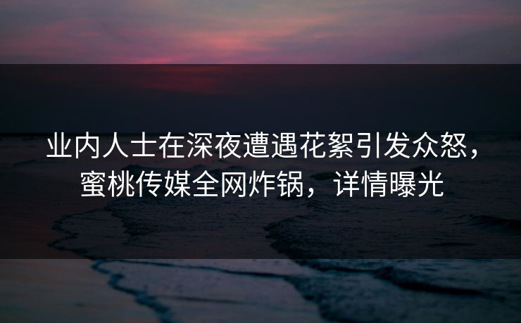 业内人士在深夜遭遇花絮引发众怒,蜜桃传媒全网炸锅,详情曝光 业内人士在深夜遭遇花絮引发众怒,蜜桃传媒全网炸锅,详情曝光
